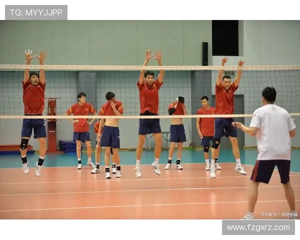 南京排球队的节奏之旅：探索排球背后的激情与团队精神