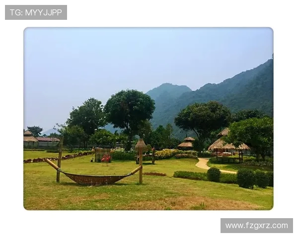 重庆攀岩队技术探秘：从基础训练到高难度挑战的全景解析