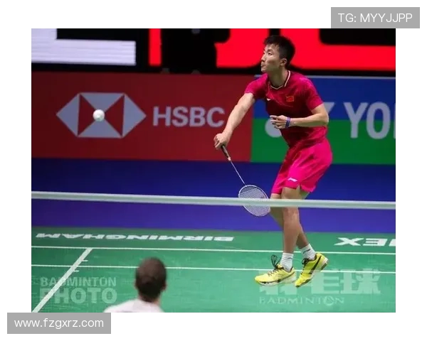 重庆羽毛球队在全国锦标赛中的技术表现分析与点评