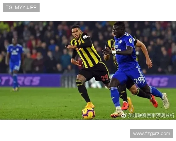 埃弗顿与纽卡历史交锋记录分析及战绩回顾